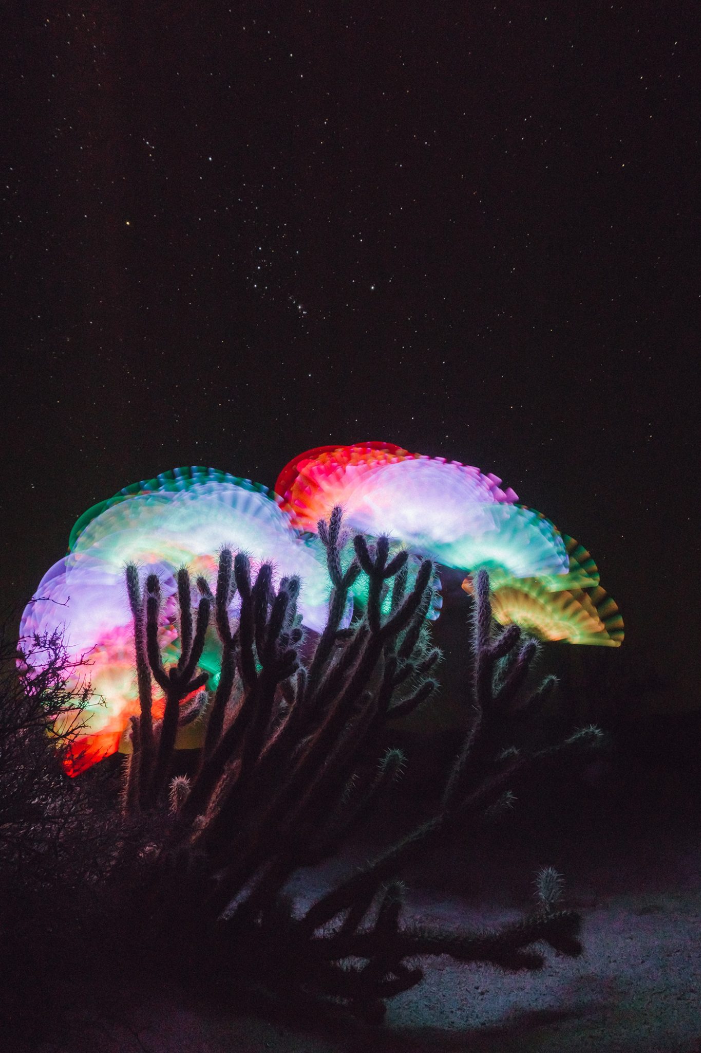 Long Exposure Of Cactus And Glowsticks With The Starry Night Sky
