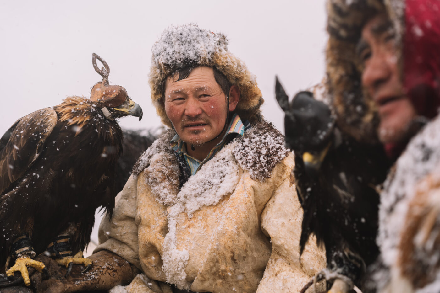 Mongolian Eagle Hunters planning their hunt and discussing an action