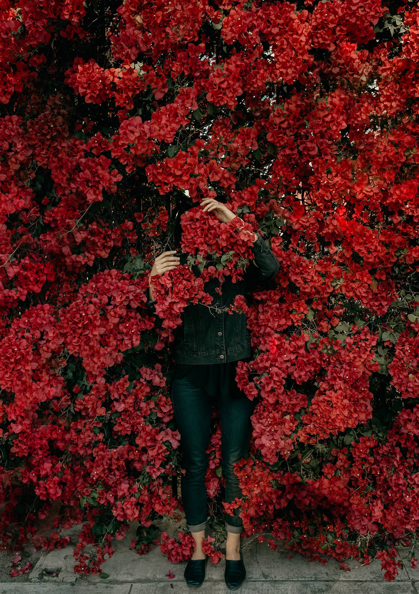 Mysterious Woman Hiding In Red Flowers