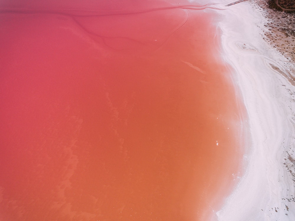 Aerial photography of a pink salt lake