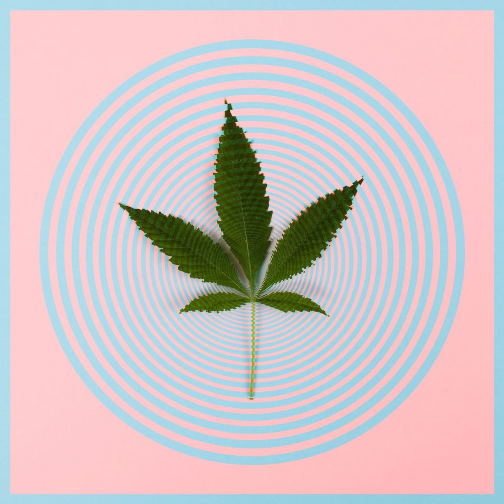 Composite of a Cannabis leaf against pink and blue rings background.