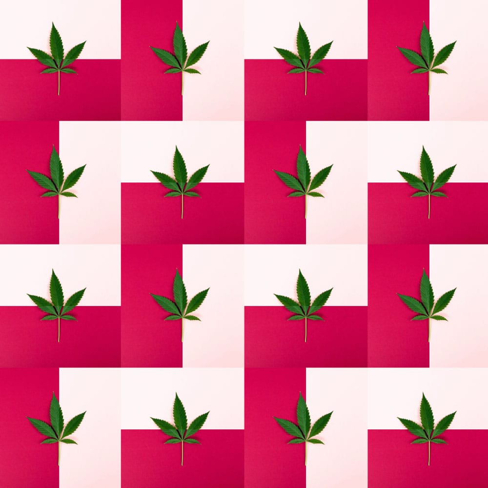 Red & Pink Geometric Cannabis
