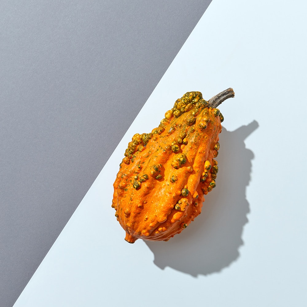 Orange Decorative Pumpkin On A Gray Paper Background