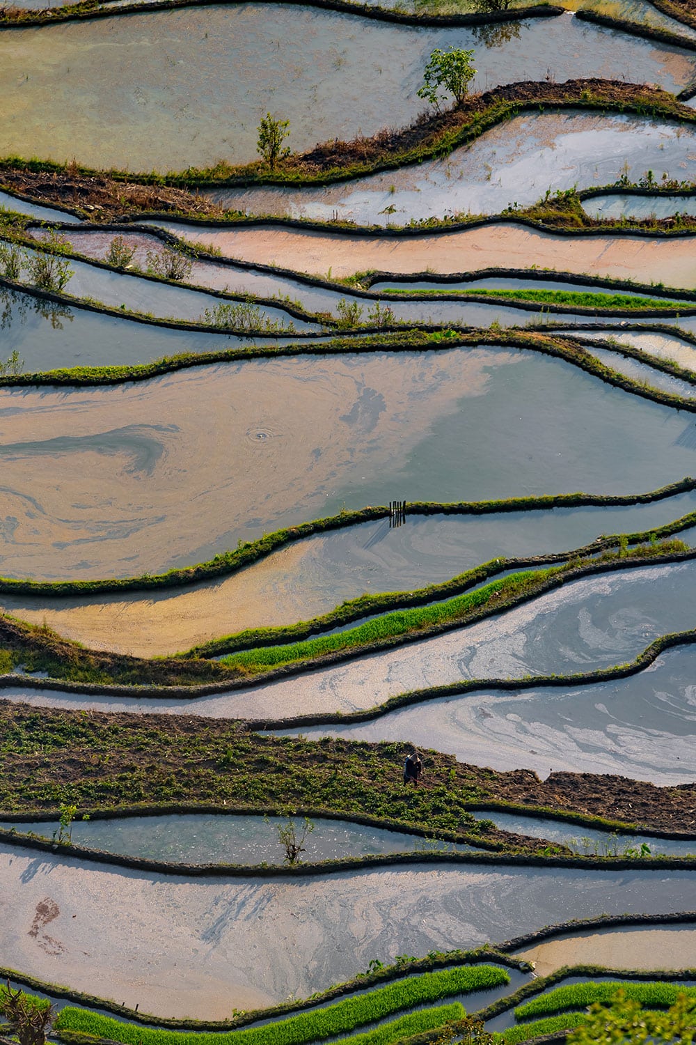 View on rice terraces of scenic spot in Yuanyang, China