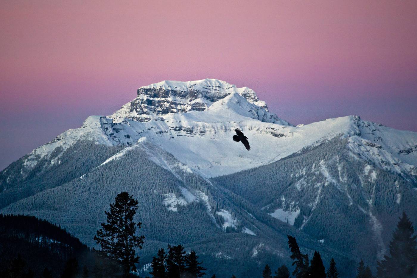 Alberta Mountains At Sunrise, Canada