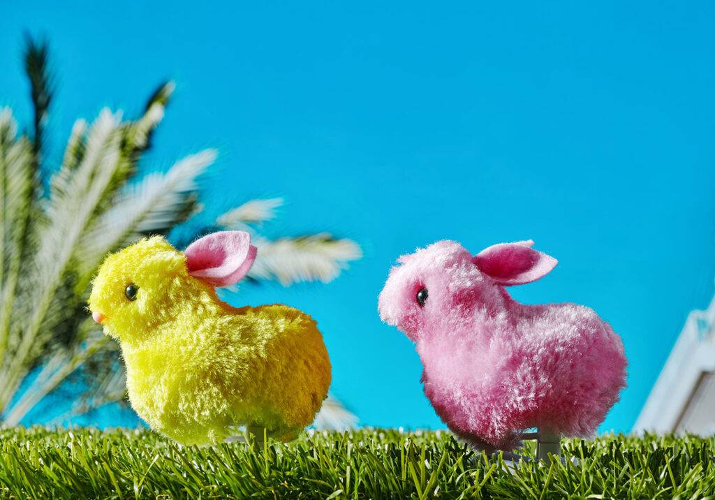 a yellow and a pink teddy wind-up easter rabbits on fake grass, outdoors