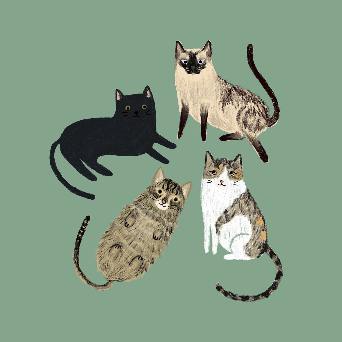 Illustration of a group of 4 different cats (black, ragdoll and tabbies) happily posing on a green background
