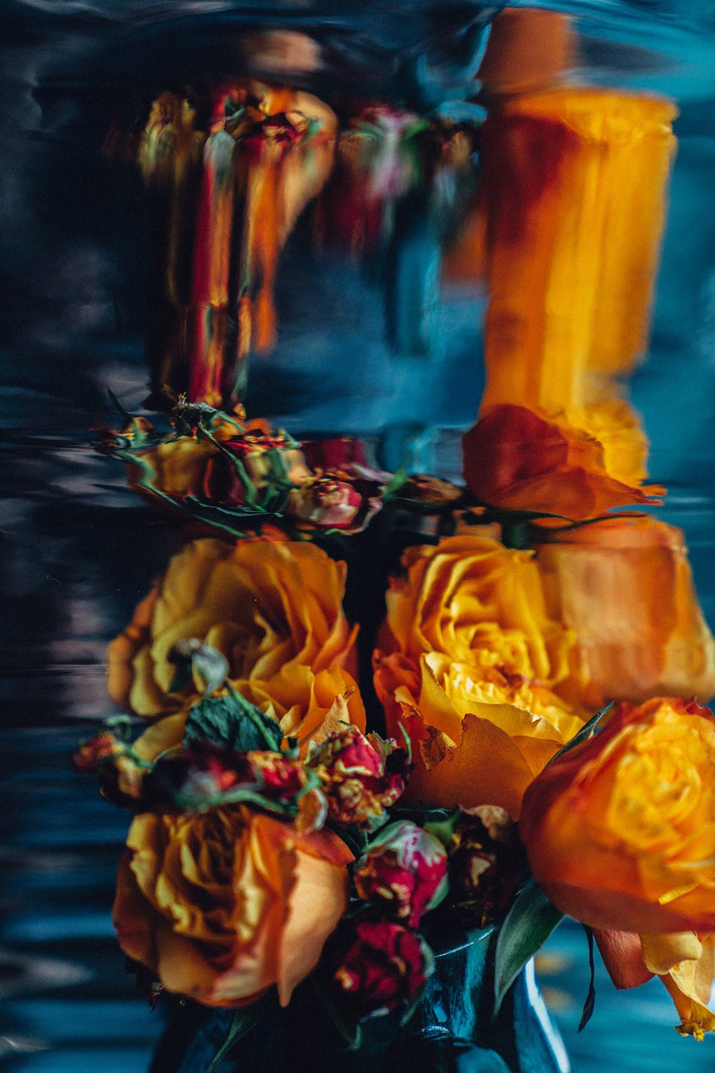 Bouquet of orange roses, peony rose buds, art still life, mirror surface, blurred reflections, gift to a dear person, floristry.