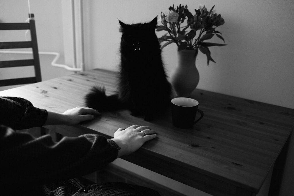 Black and white photo of black cat on the wooden table with female hands, cup and vase with flowers