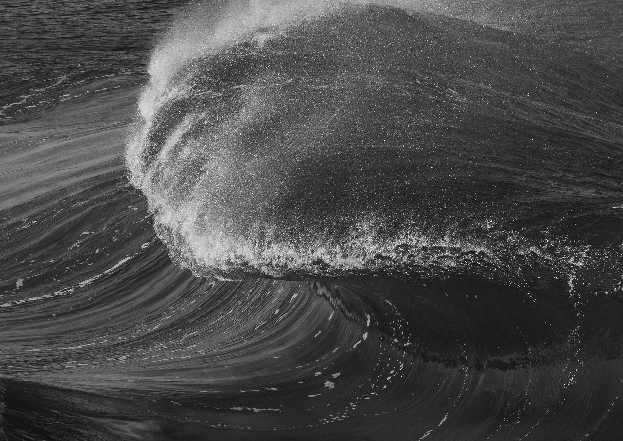 Close Up Of Wave Breaking In Black And White