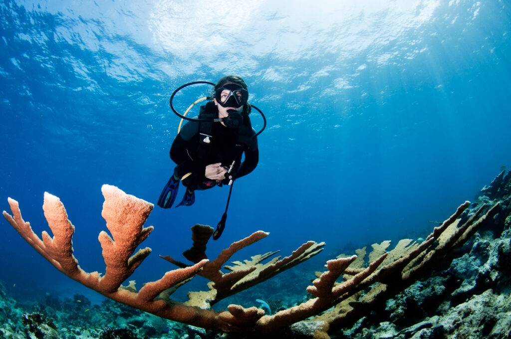 Female Scuba Diving In The Caribbean