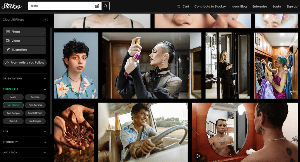 Stocksy search UI non-binary filter