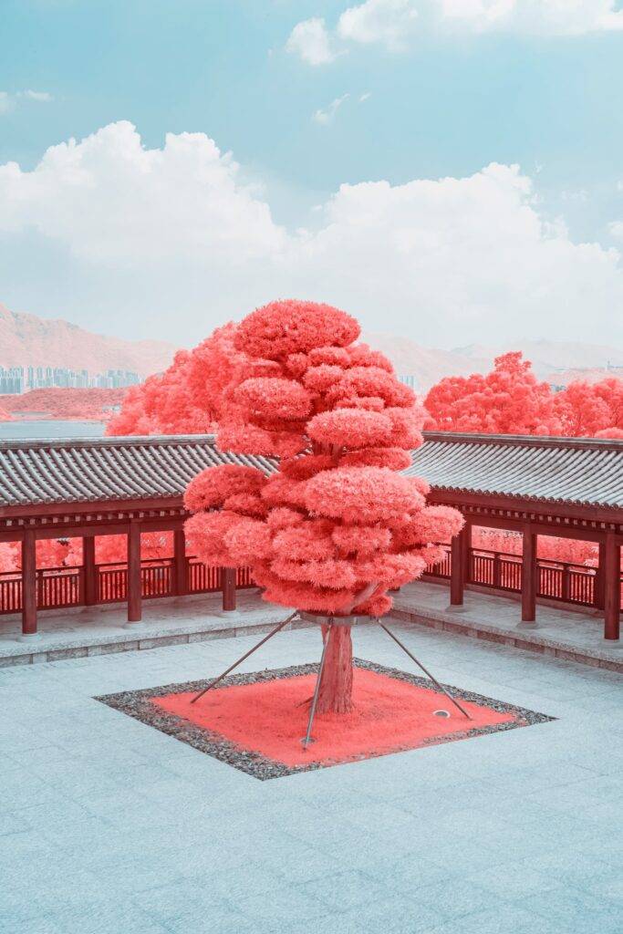 Infrared Photography Of Traditional Chinese Buildings And Plants