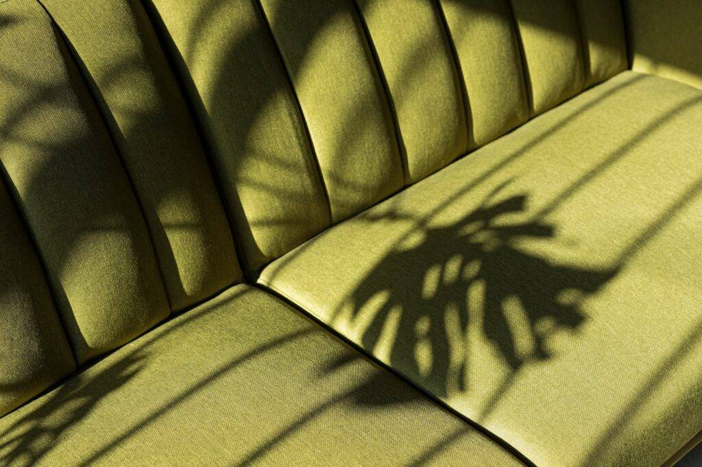 A beautiful light coming illuminating a green couch with the shadow of a monstera plant in it in a room in Ensenada Baja California Mexico