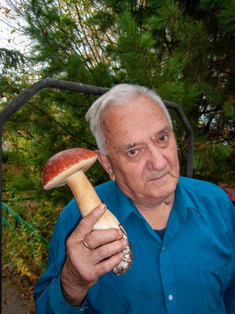 Portrait Of Elderly Man Holding Giant Mushroom