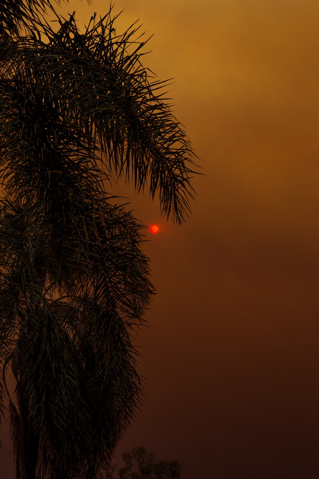 Smoke fills the sky at sunset in the Hollywood neighborhood in Los Angeles.