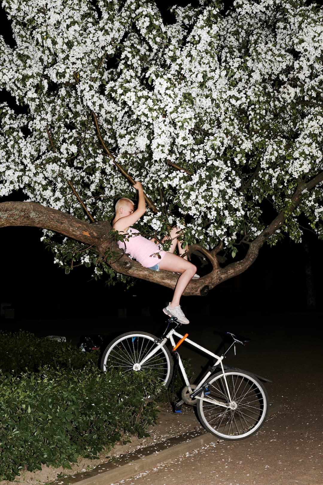 A woman in a pink top and blue shorts sits on a branch of a flowering tree, at the foot of the tree lies a white bicycle.