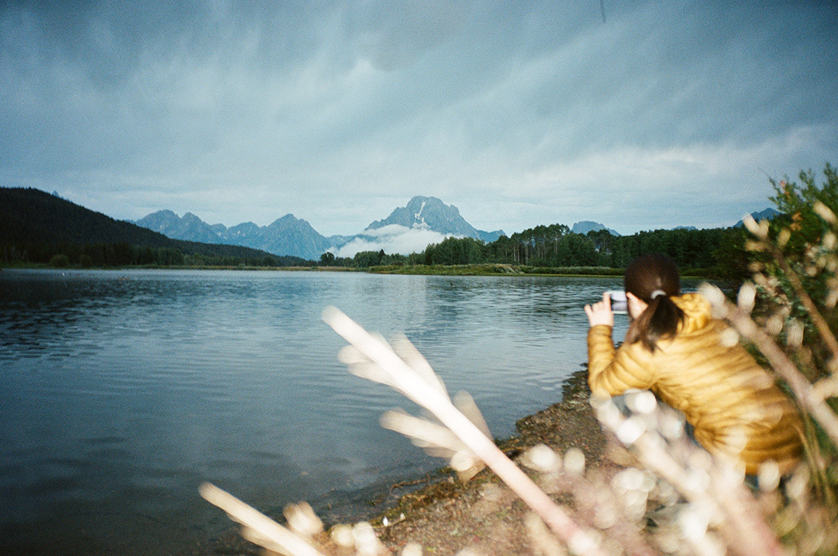 35mm tourist Grand Teton National Park Back view anonymous tourist taking photo with cell phone of mountains in early morning sunrise direct flash photography foliage in foreground. Oxbow Bend, Grand Teton National Park, Wyoming, USa
