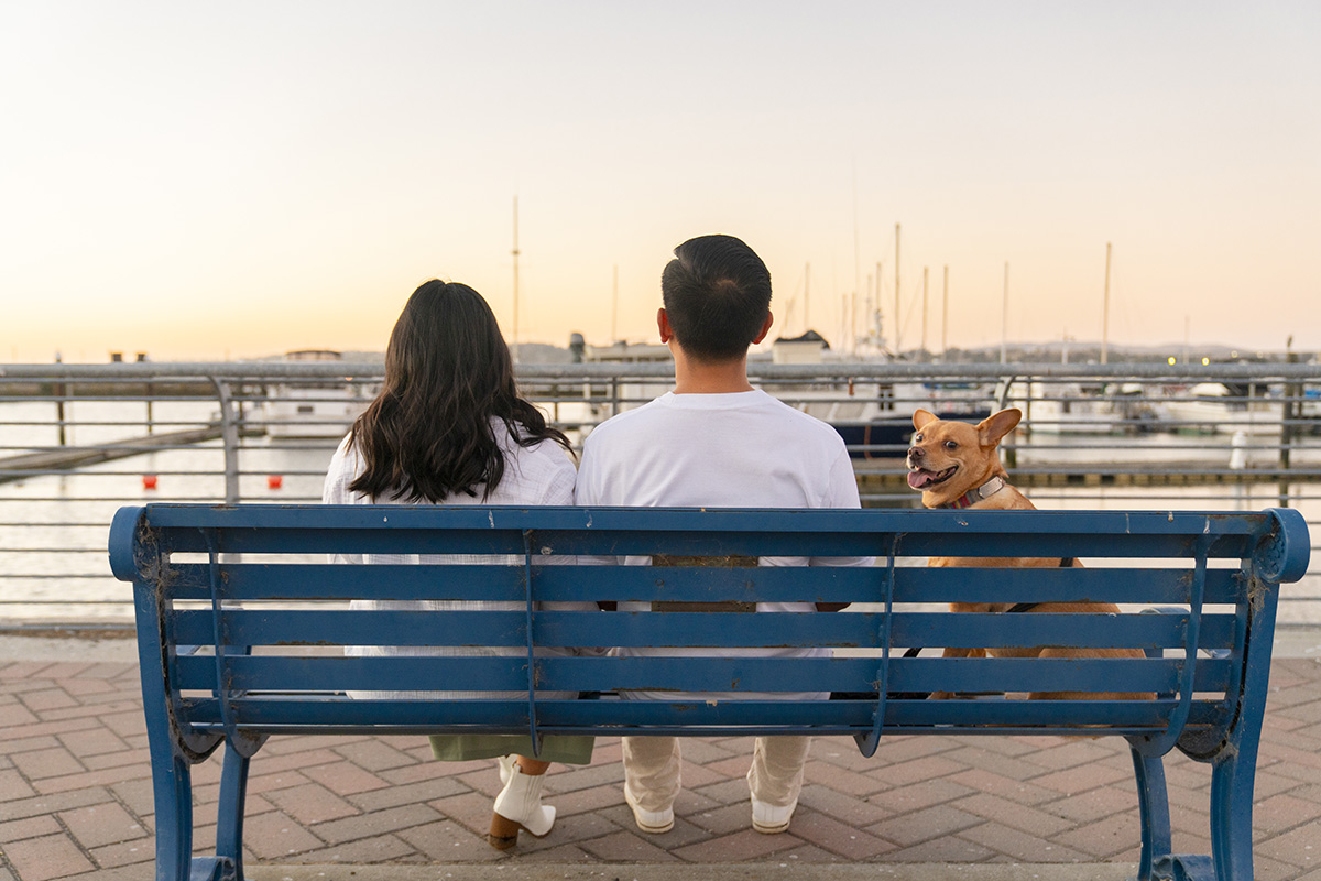 Anonymous couple with dog Mixed breed dog looking at camera sitting on bench with owners sitting together looking away at view on sidewalk bench enjoying sunset view of marina dock with boats in distance.