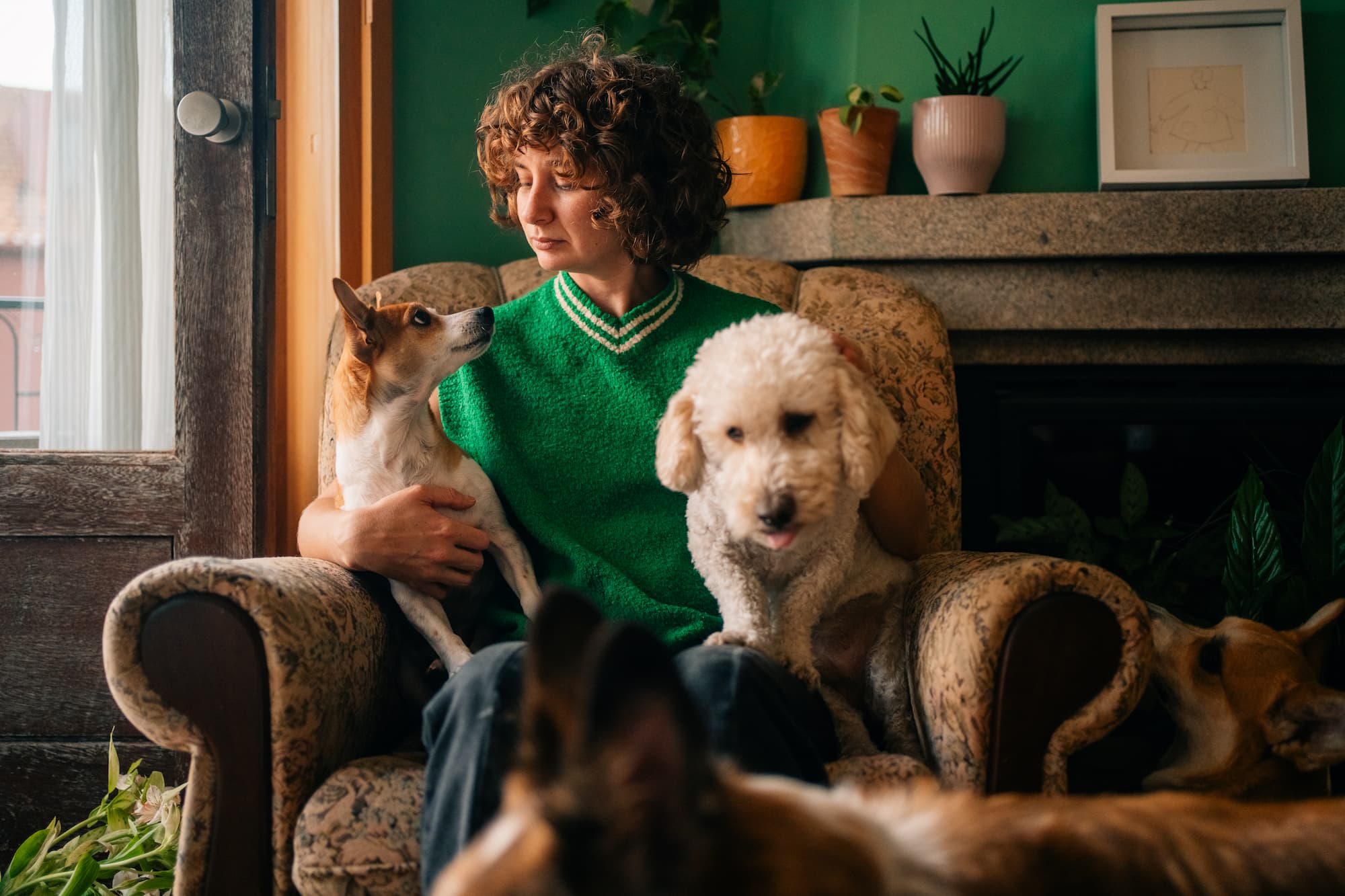 Young woman in green sweater sitting with two dogs on a cozy armchair, sharing an intimate moment.