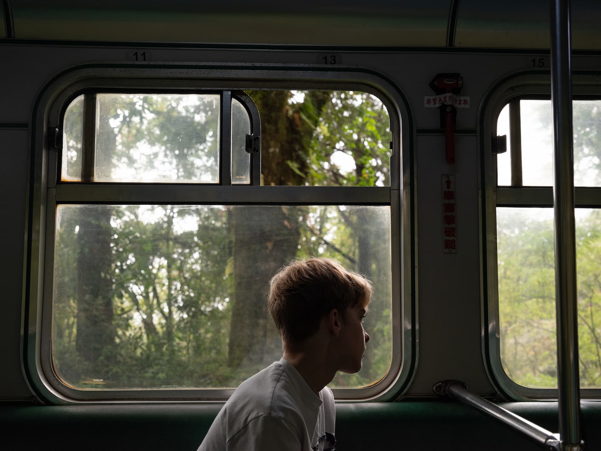Captivated teenage boy sightseeing on the Alishan Forest Railway, Shenmu Area, Alishan Taiwan. He looks out at the trees.
