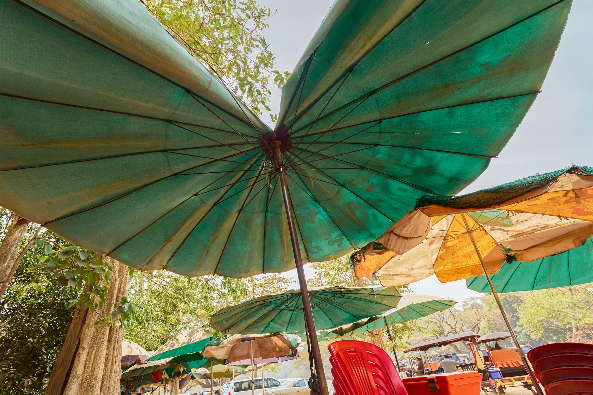 Large Green Umbrellas at a Market Seating Area of Siem Reap Multiple umbrellas provide shade over red chairs at a food or rest area near market stalls in Siem Reap, Cambodia.