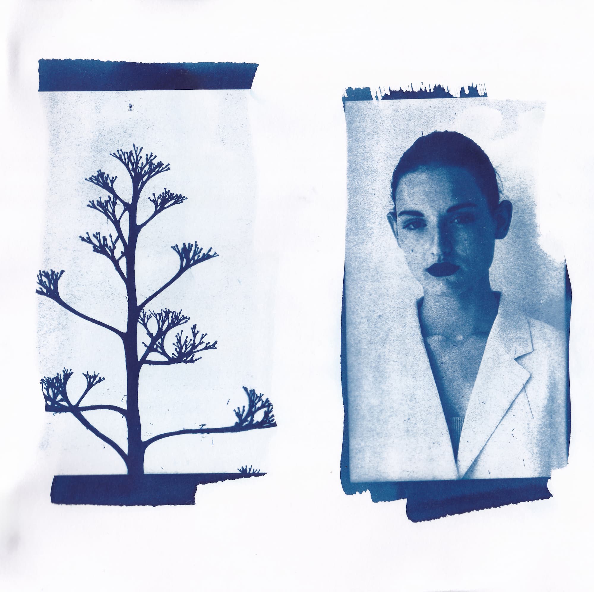 Cyanotype of a woman and a tree silhouette, blending nature with a minimalist portrait in blue tones.