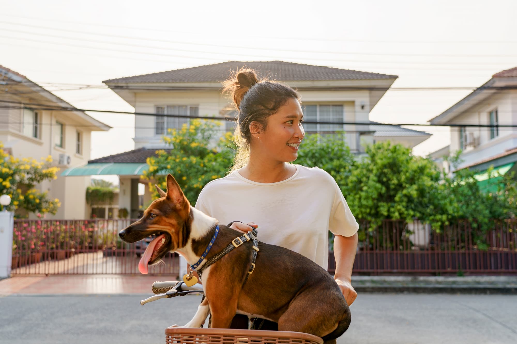 A joyful young Southeast Asian woman in casual attire enjoys a bicycle ride through the neighborhood with her female mixed-breed puppy sitting in the basket at sunset during golden hour