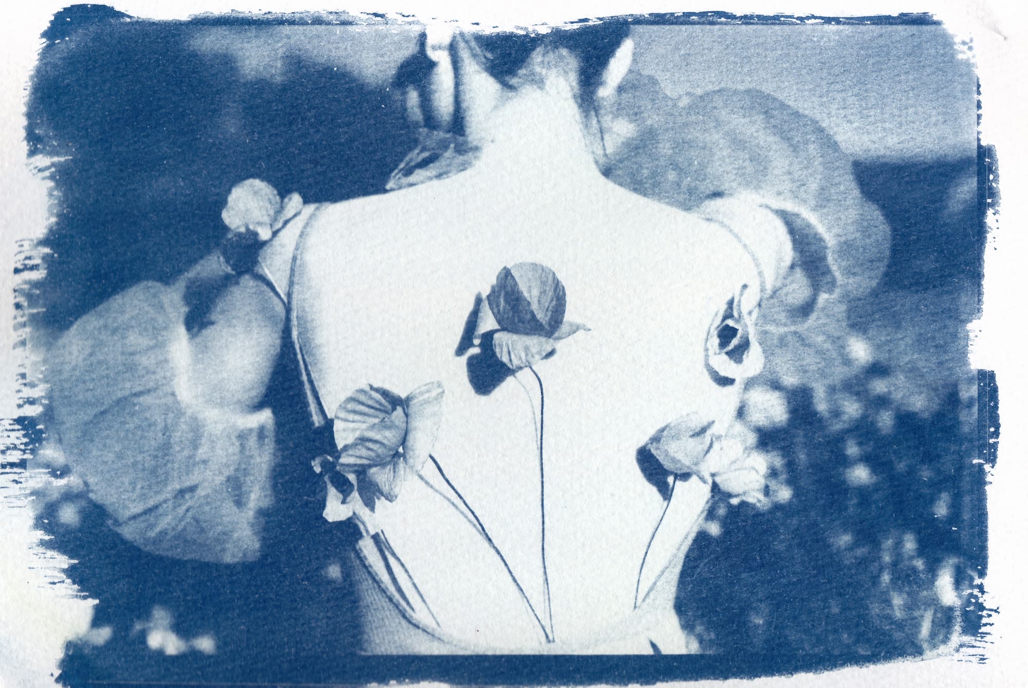 Cyanotype of woman back decorated with poppies Artistic cyanotype depicting a woman's back adorned with poppies, showcasing handmade and alternative photographic processes