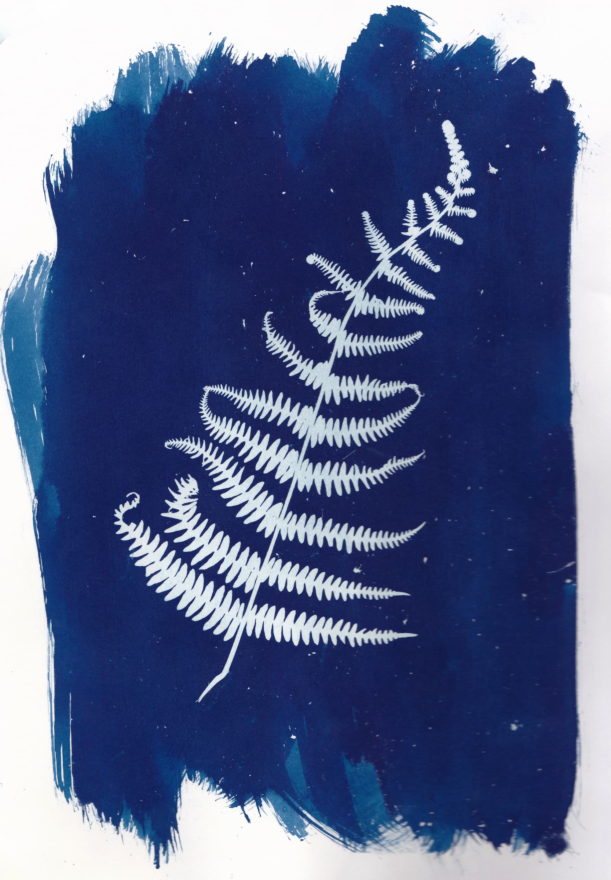 Close-up of white negative fern silhouette on handmade textured prussian blue cyanotype background