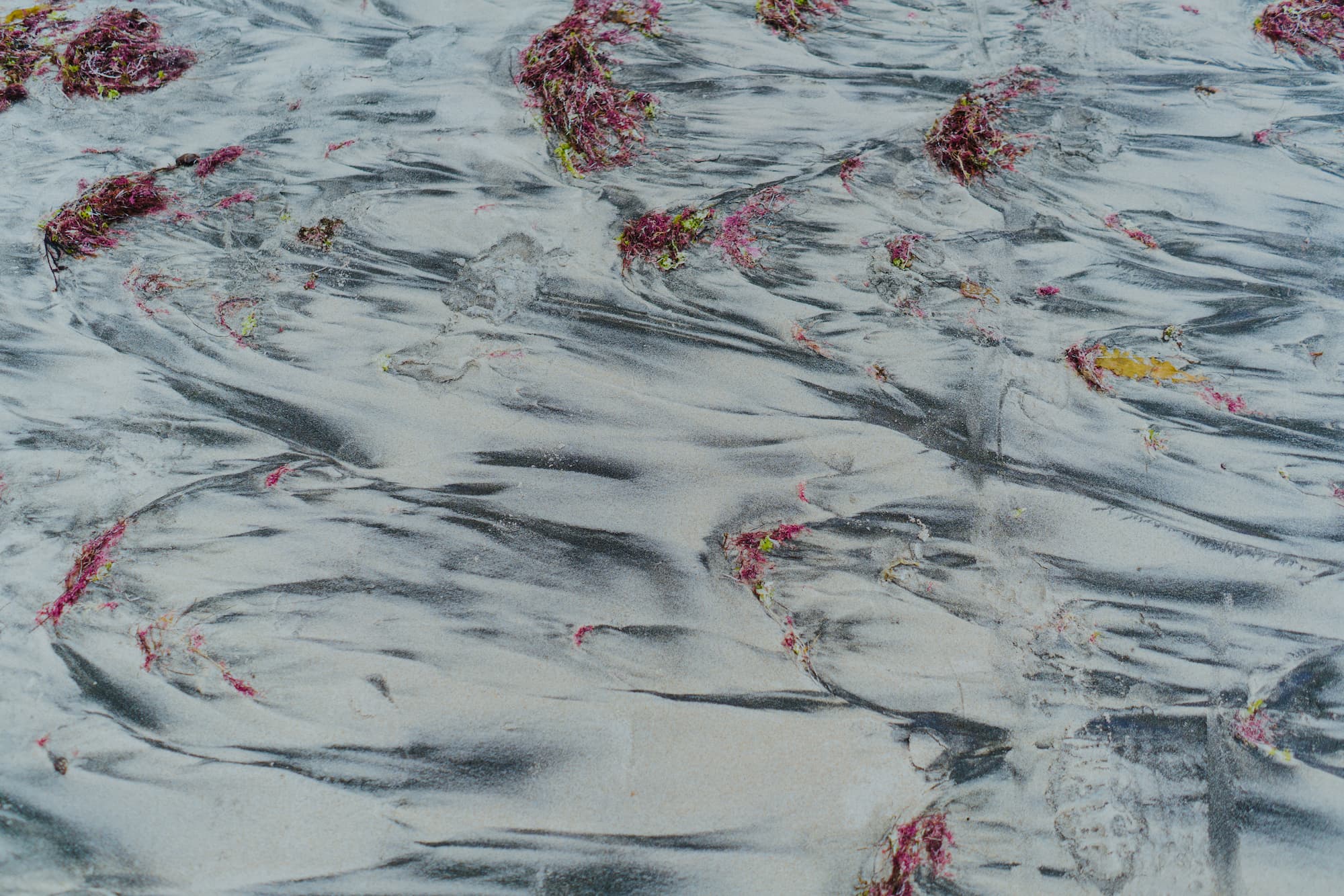 SaCal Sand Texture